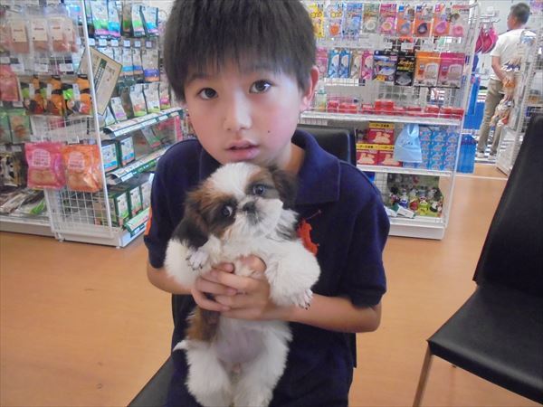 写真