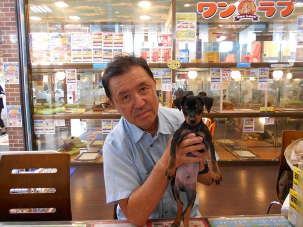 写真