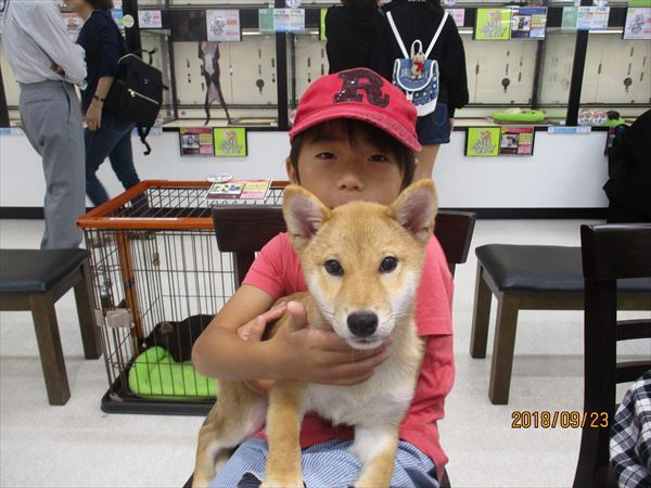 写真