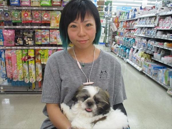写真