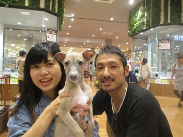 写真