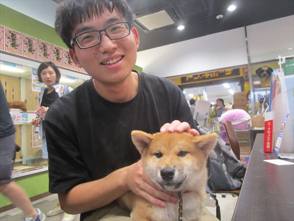 写真