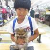 写真
