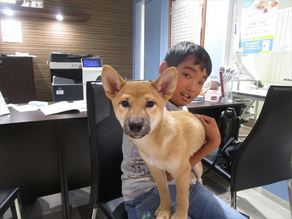 写真