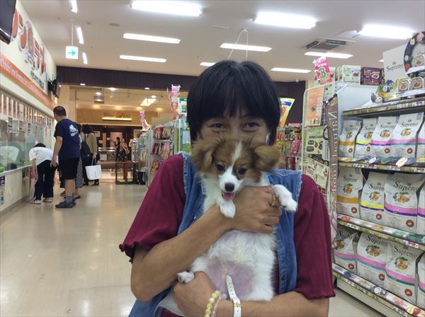 写真