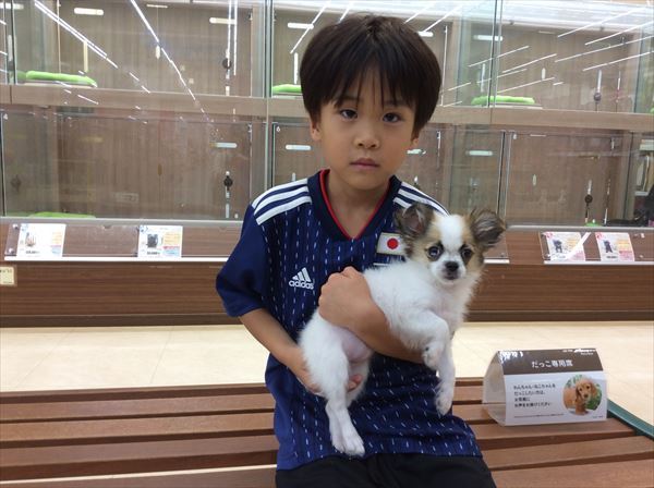写真