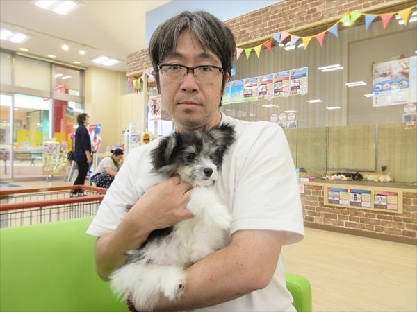 写真
