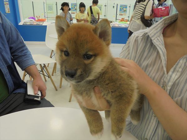 写真