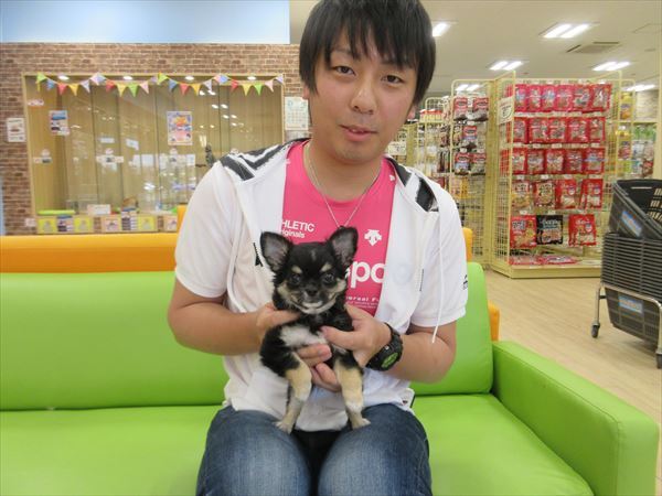 写真