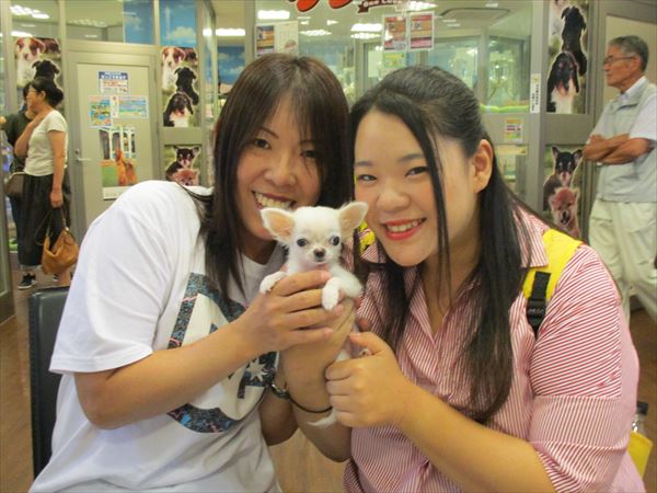 写真