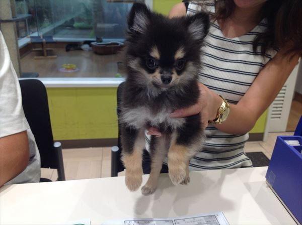 写真