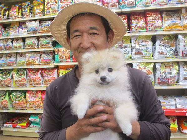 写真