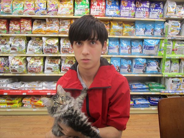 写真