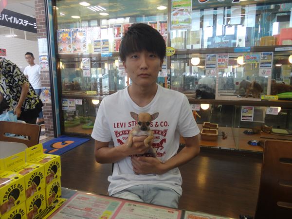 写真