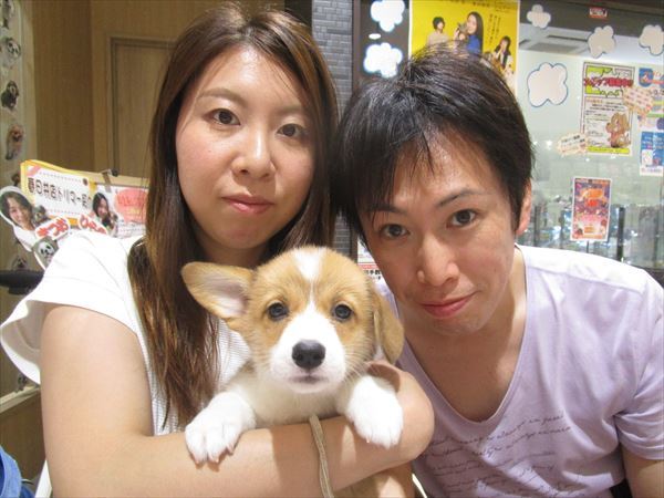 写真