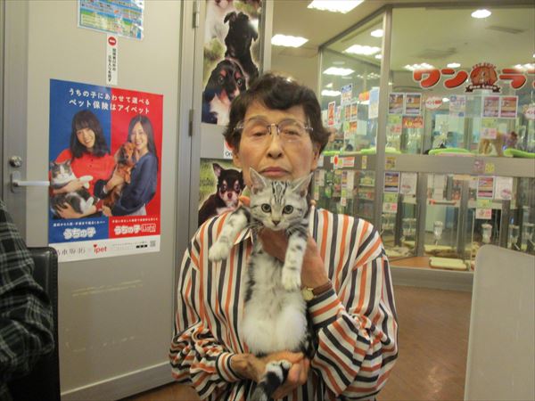 写真