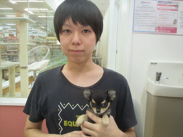 写真