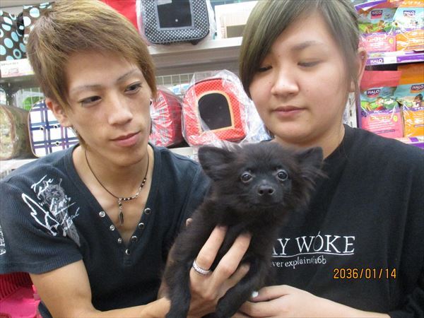 写真