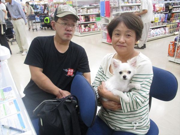 写真