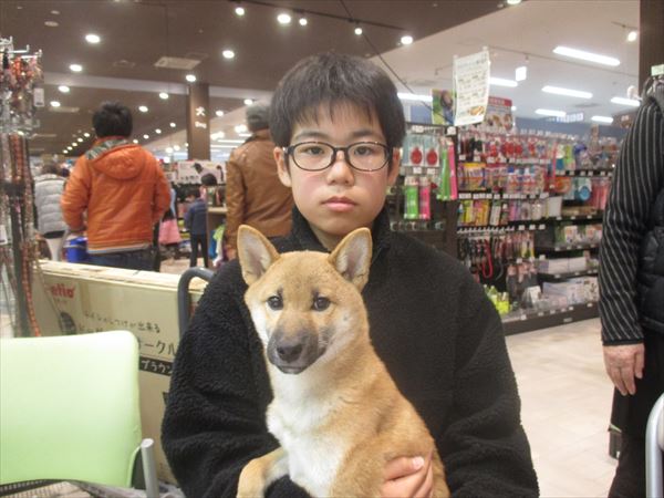 写真