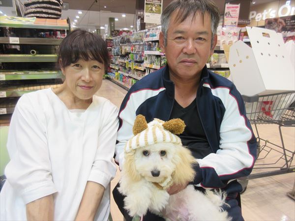 写真
