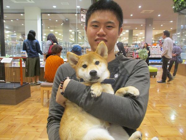 写真