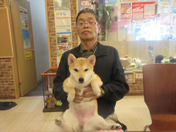 写真