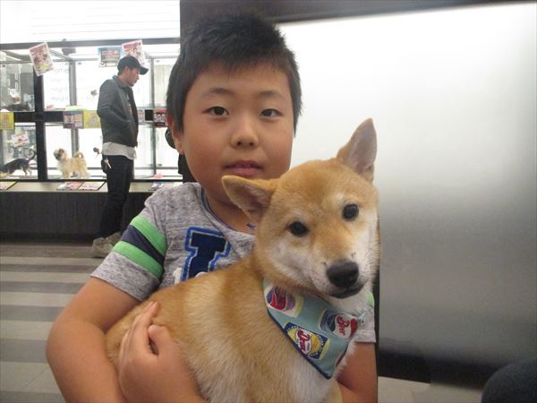 写真