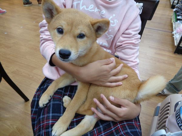 写真