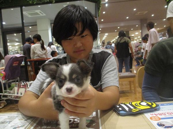 写真