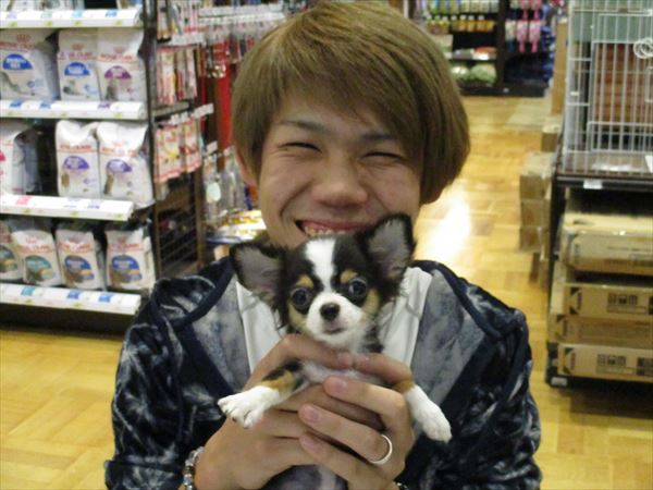 写真