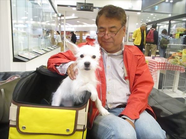写真