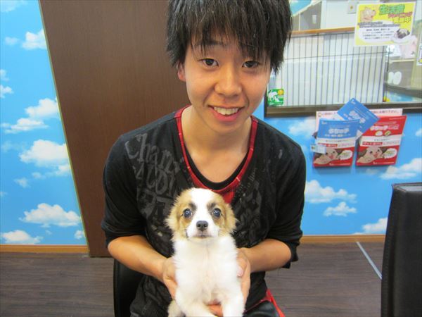 写真
