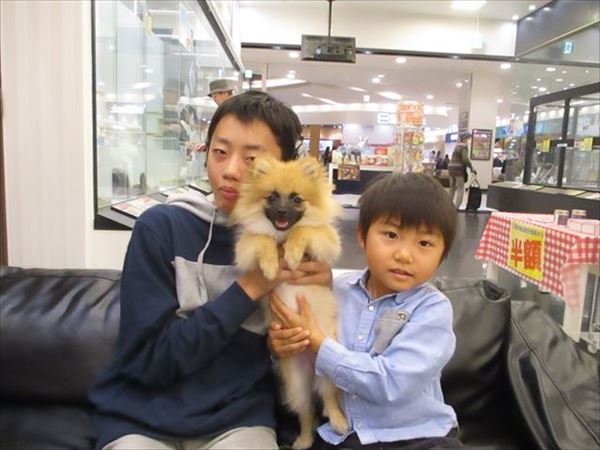 写真