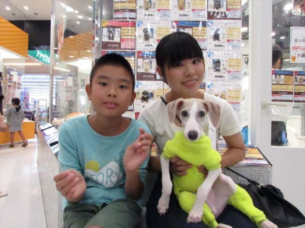写真