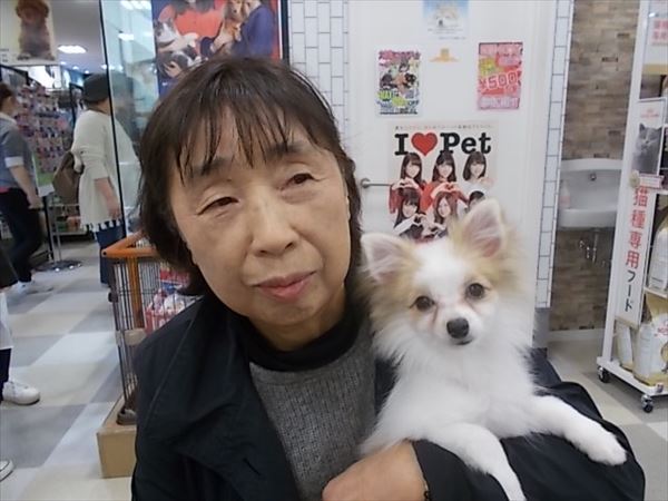 写真