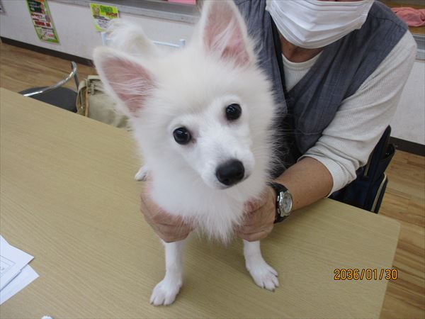 写真