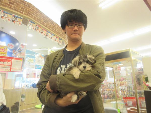 写真