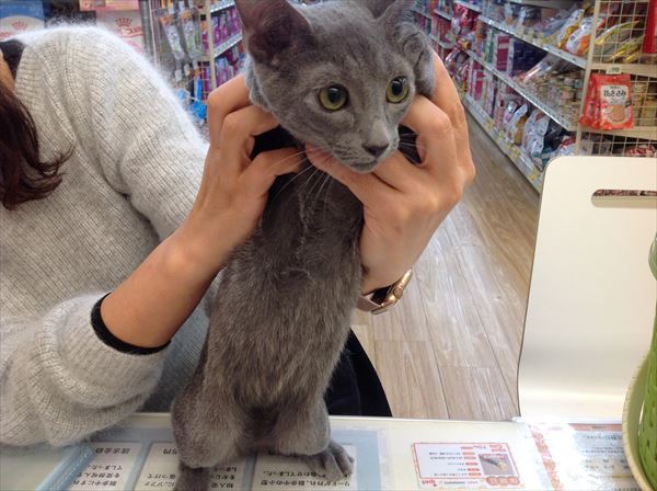 写真