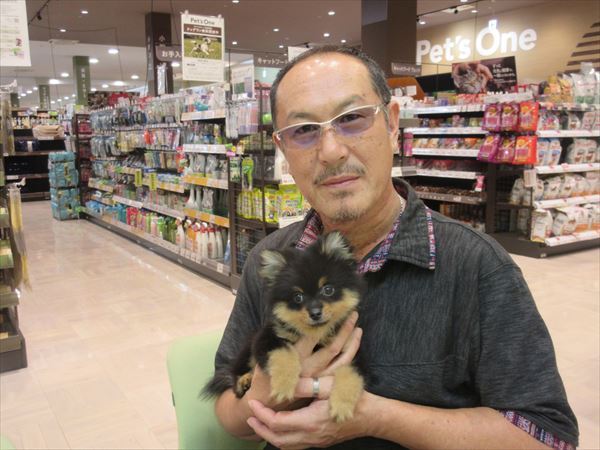 写真