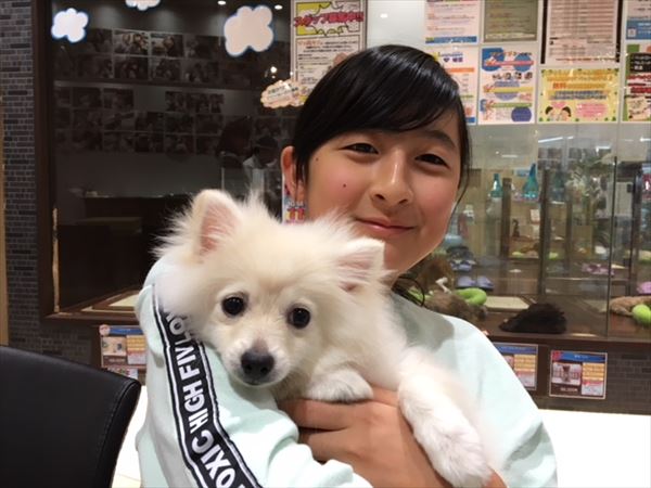写真