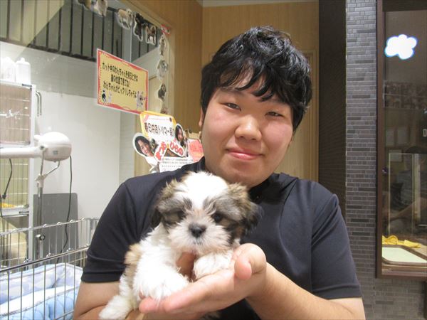 写真