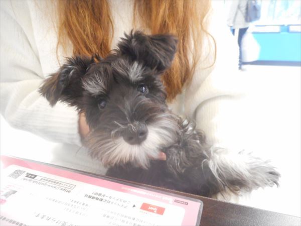 写真