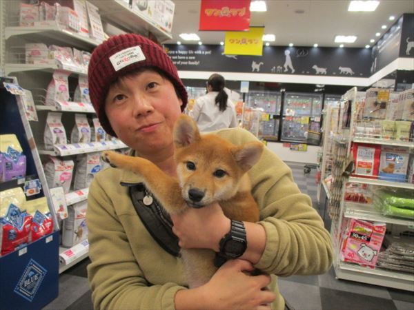 写真