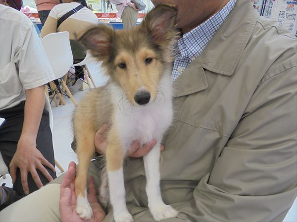 写真