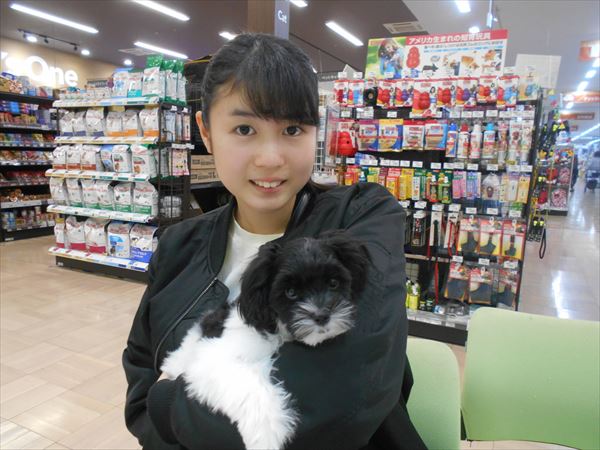 写真
