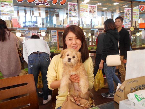 写真