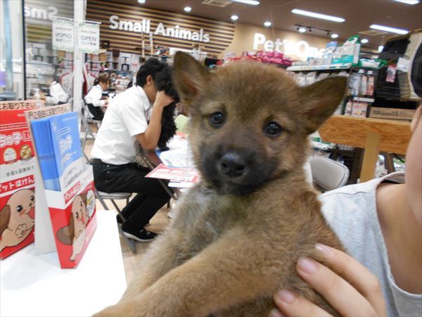写真