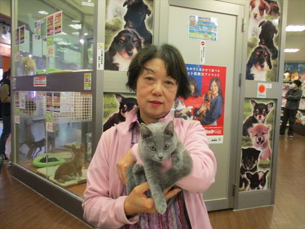 写真