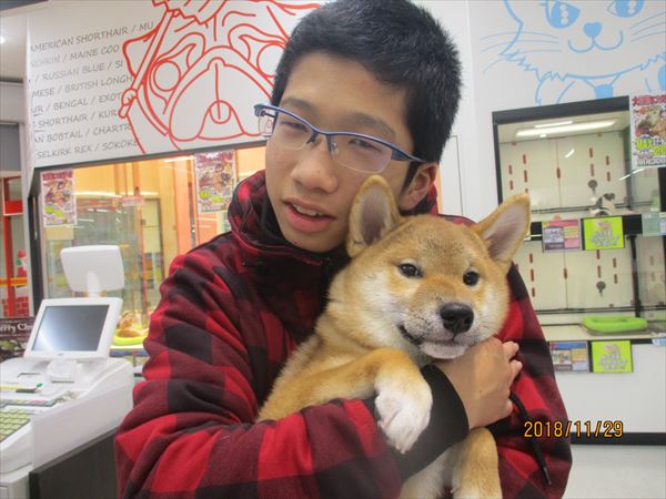 写真